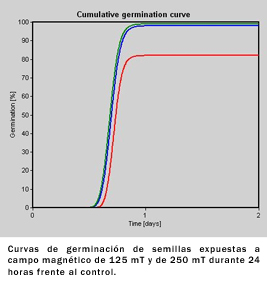 curvas